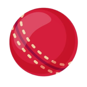cricket icon